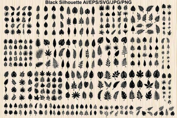 Set of Silhouette Monstera Tropical Graphics