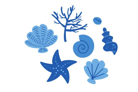 Textured Seashells & Corals Graphics